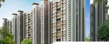  vice royale Elevation