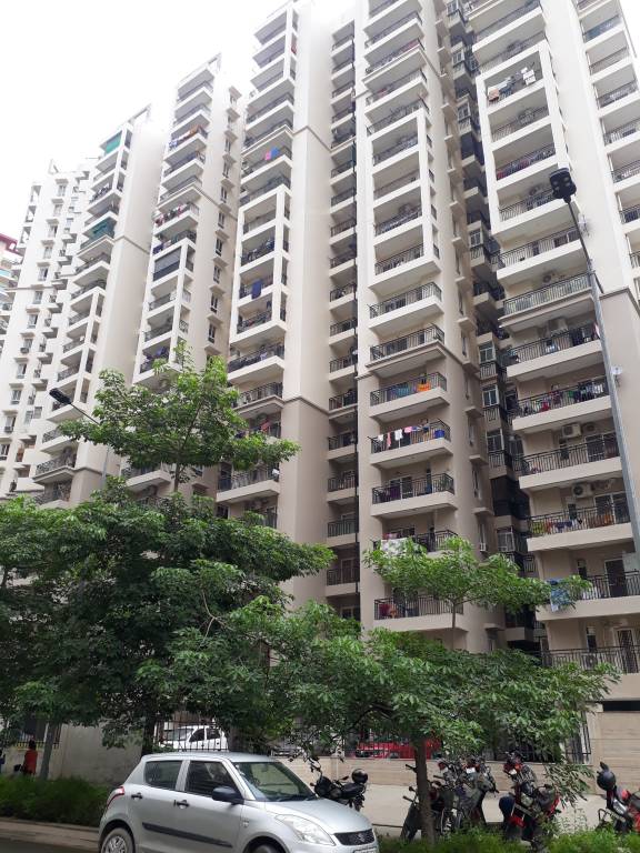  north avenue ii Images for Project