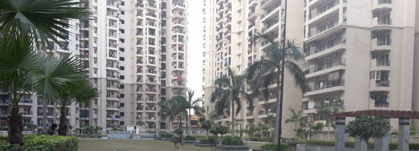  north avenue ii Images for Project