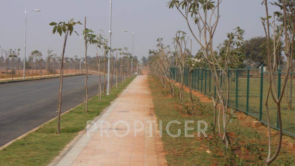 Images for Main Other of KNS Anirvan