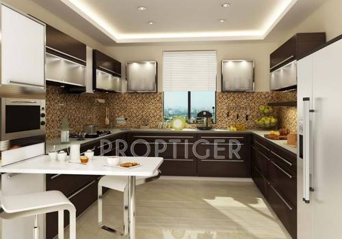 Images for Main Other of Mayfair Akshay akshay Images for Main Other of Mayfair Akshay