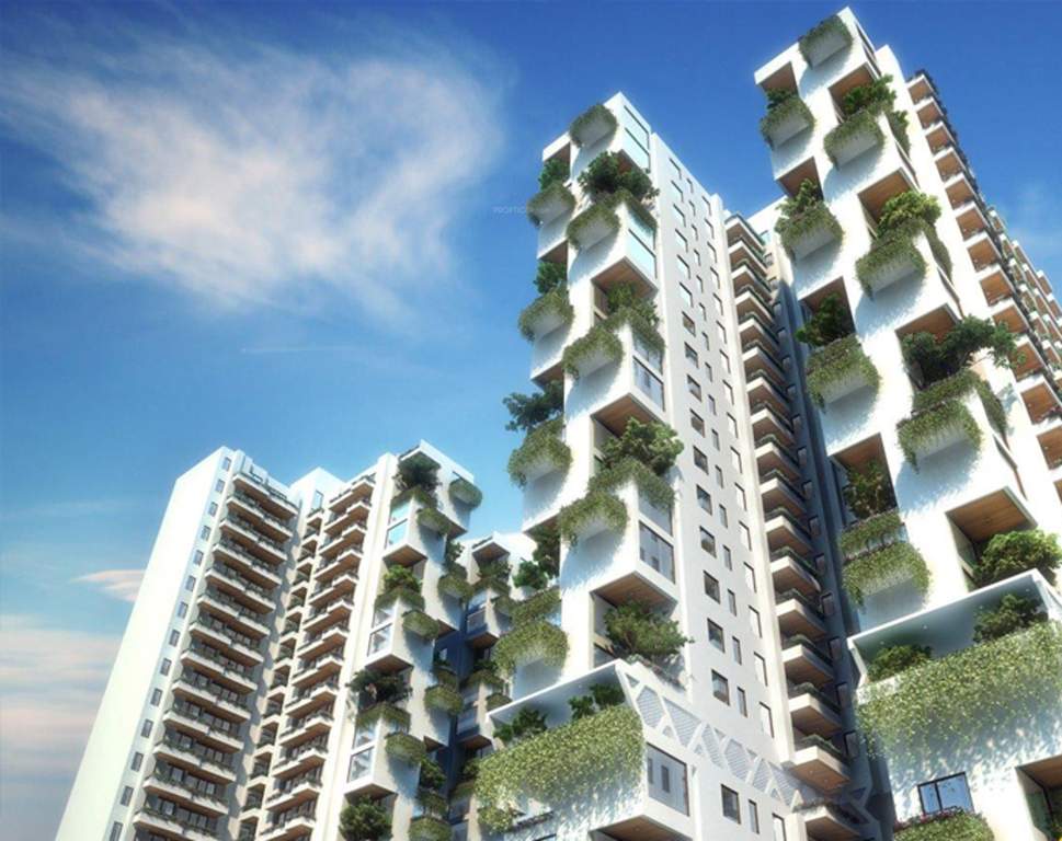  beethoven 8 Images for Elevation of Agrante Beethoven 8