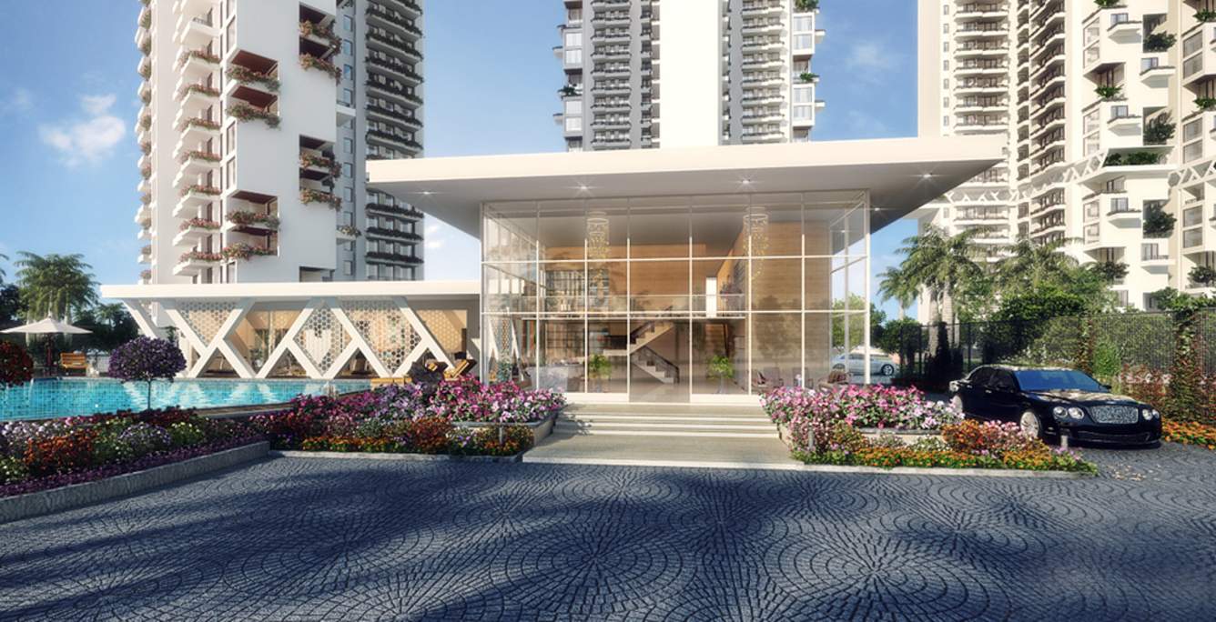  beethoven 8 Images for Elevation of Agrante Beethoven 8