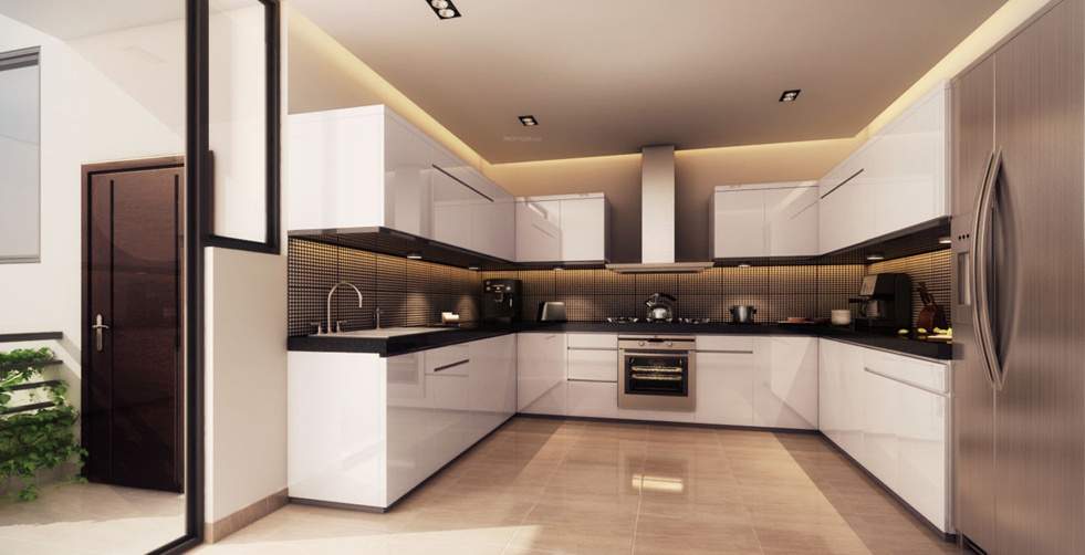  beethoven 8 Images for Main Other of Agrante Beethoven 8