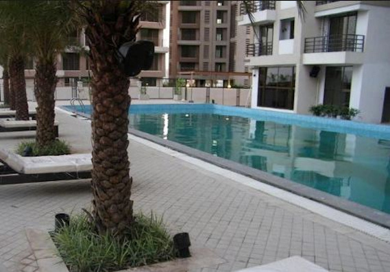  hex blox Swimming Pool