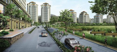  songbirds Images for Elevation of Skyi Songbirds