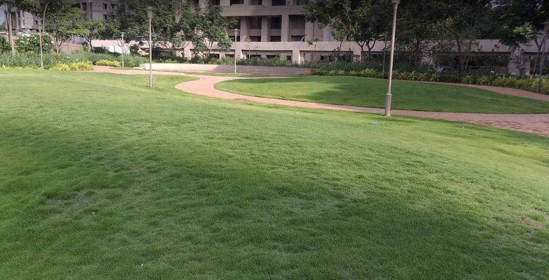  songbirds Landscape Garden and Tree Planting