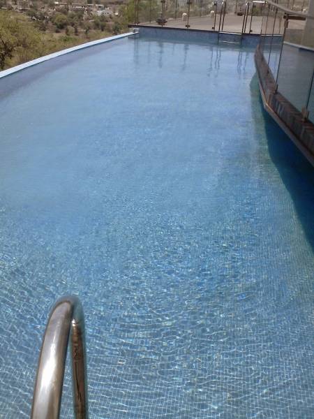  songbirds Swimming Pool