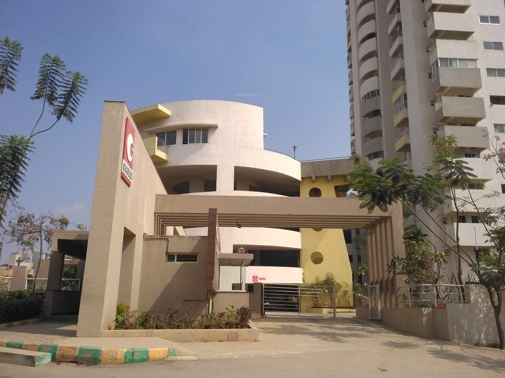  beverly hills Elevation