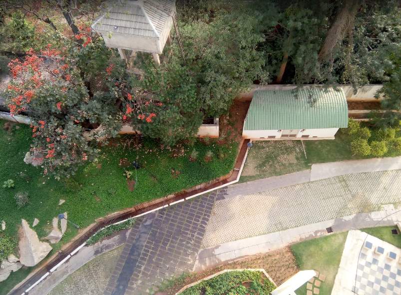  beverly hills Others