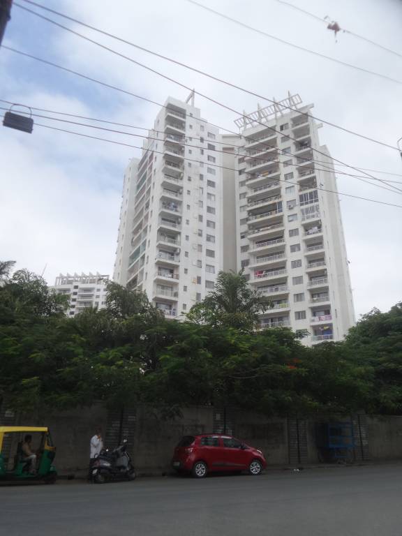 promenade Images for Project