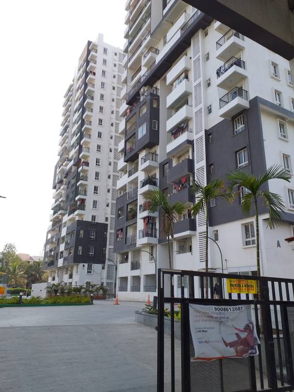  regalia Images for Project