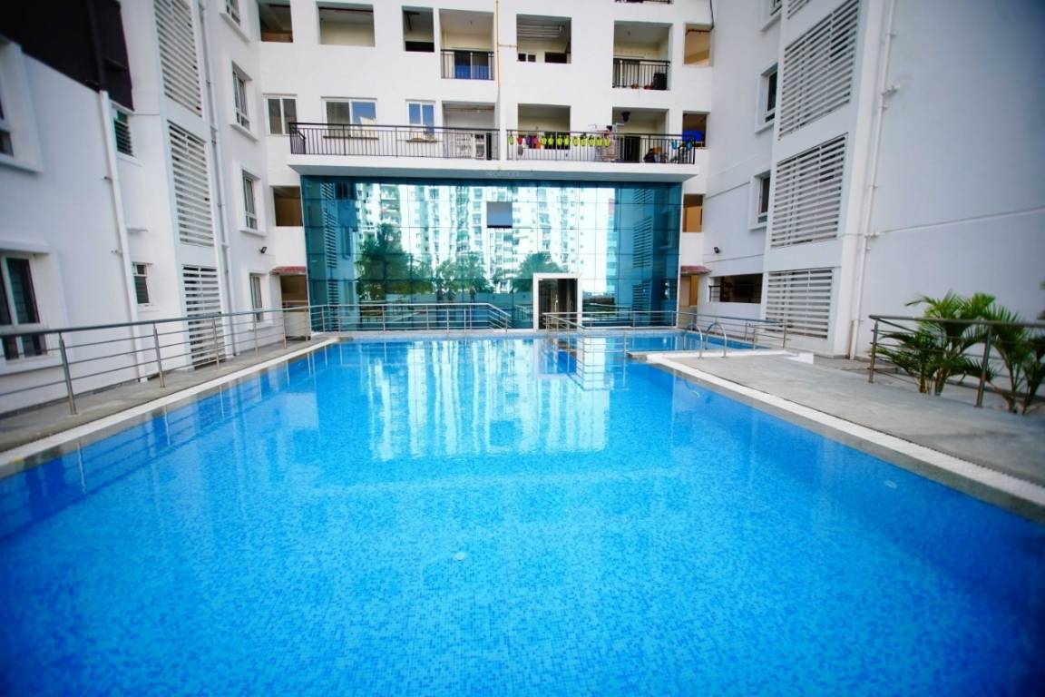  regalia Swimming Pool