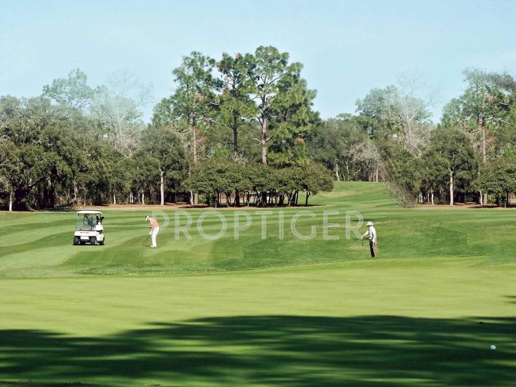 Images for Amenities of Gaursons Sports Wood