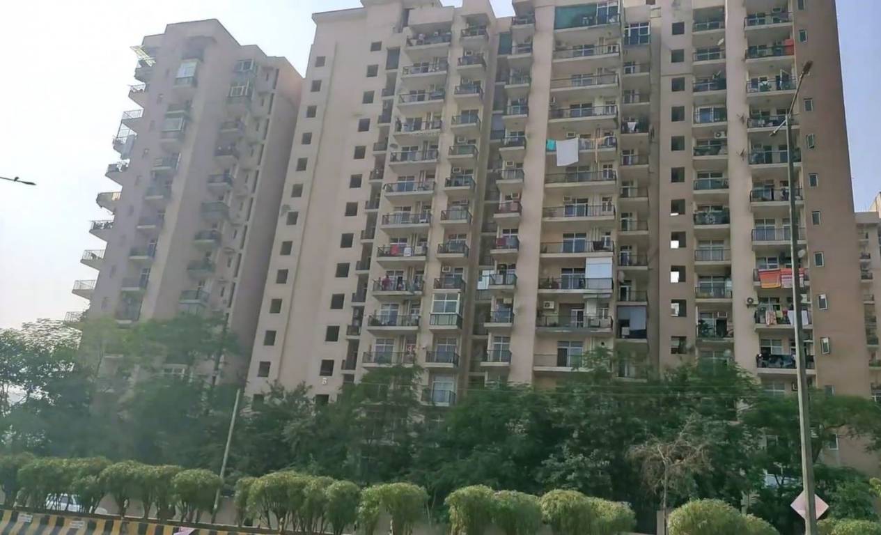  matrott Images for Elevation of Skytech Matrott