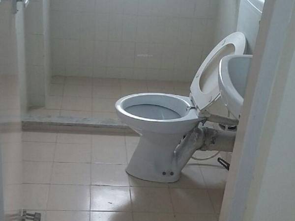 Bathroom petals Bathroom