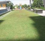 Landscape Garden and Tree Planting valencia Landscape Garden and Tree Planting