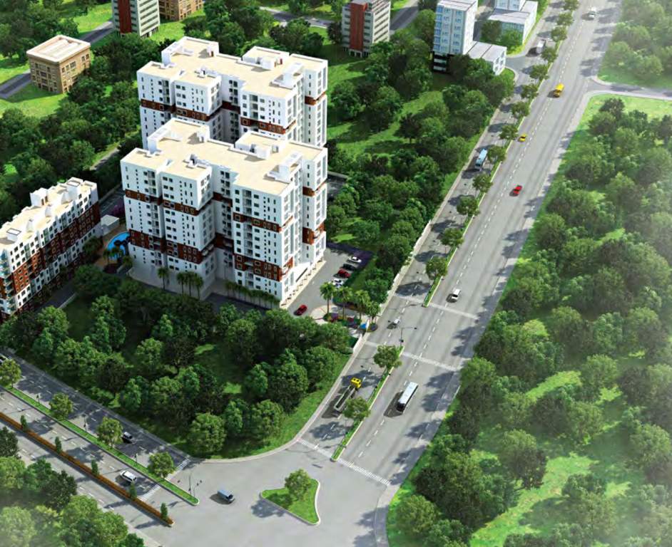  mandarin Images for Elevation of Radiance Mandarin