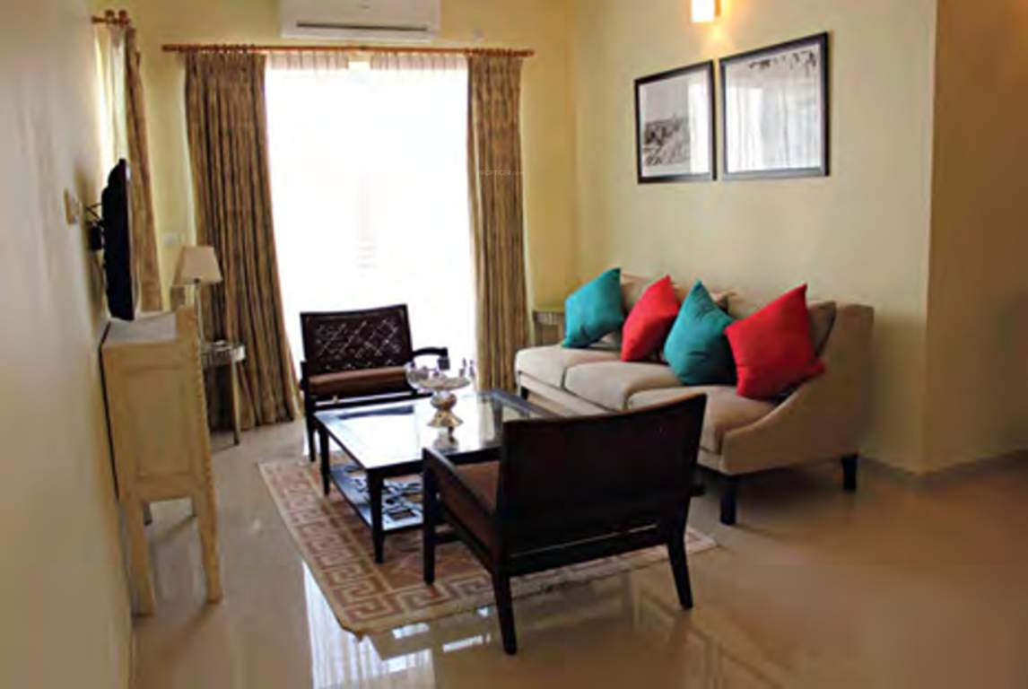  mandarin Images for Main Other of Radiance Mandarin