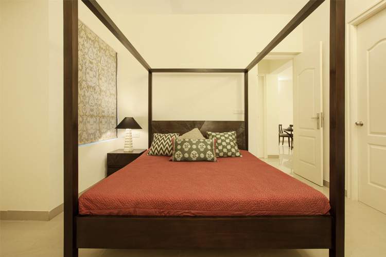  mandarin Images for Main Other of Radiance Mandarin