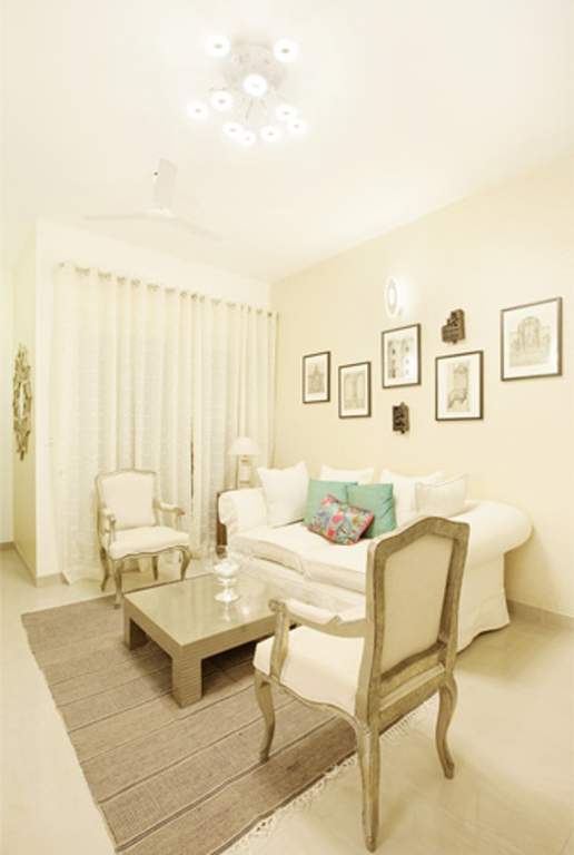  mandarin Images for Main Other of Radiance Mandarin