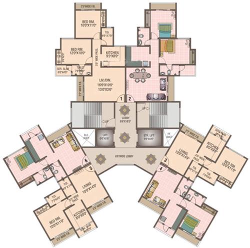  orchid Images for Cluster Plan of Cosmos Orchid