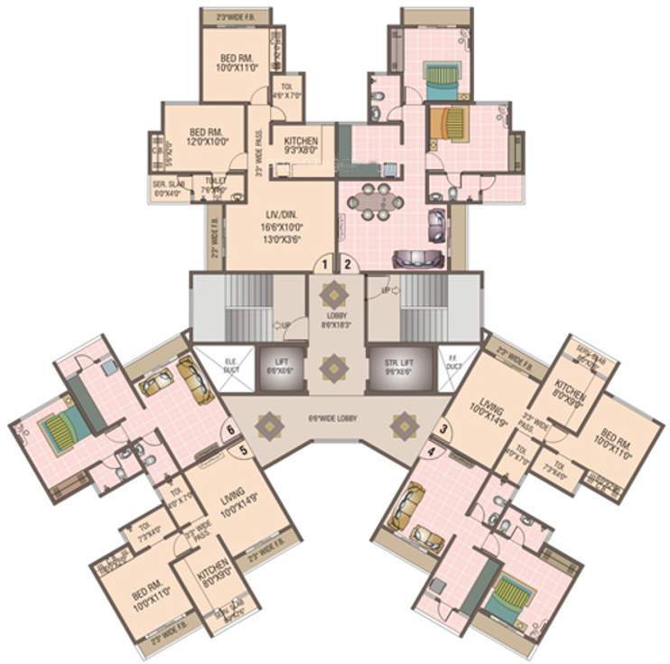  orchid Images for Cluster Plan of Cosmos Orchid