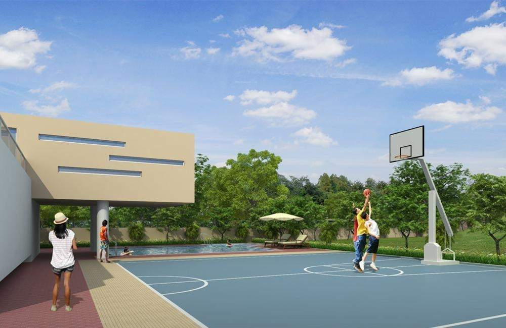  one Basketball Court