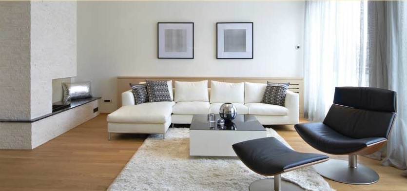 desai harmony Living Area