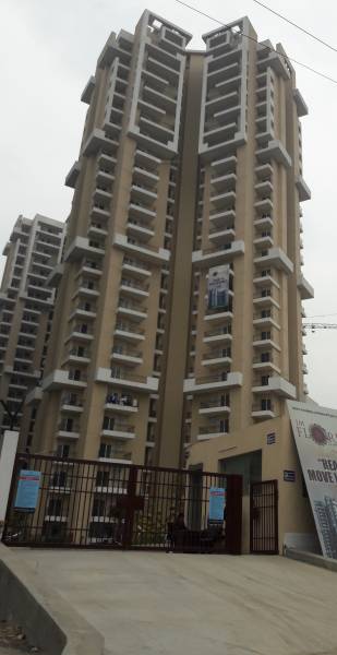 Images for Project florence Images for Project