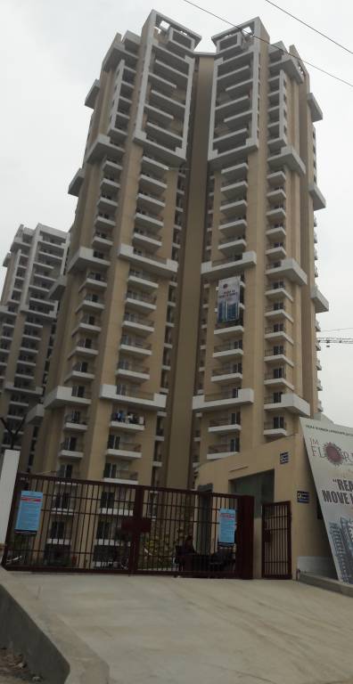  florence Images for Project