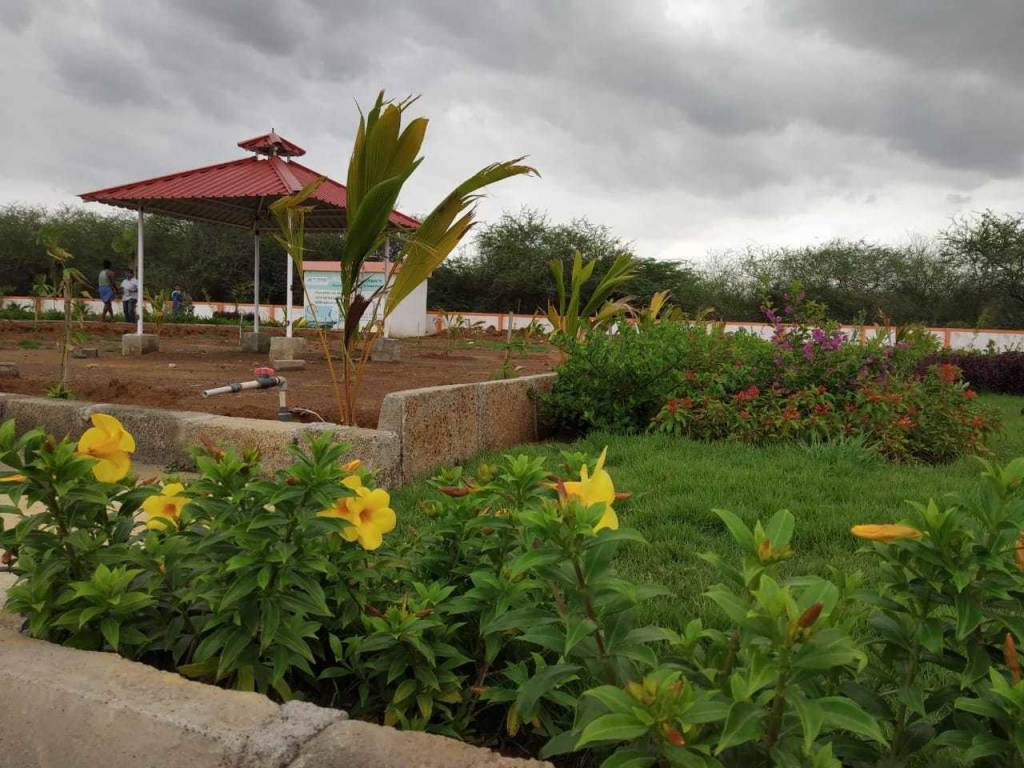 Images for Main Other of Accord Cosmo City