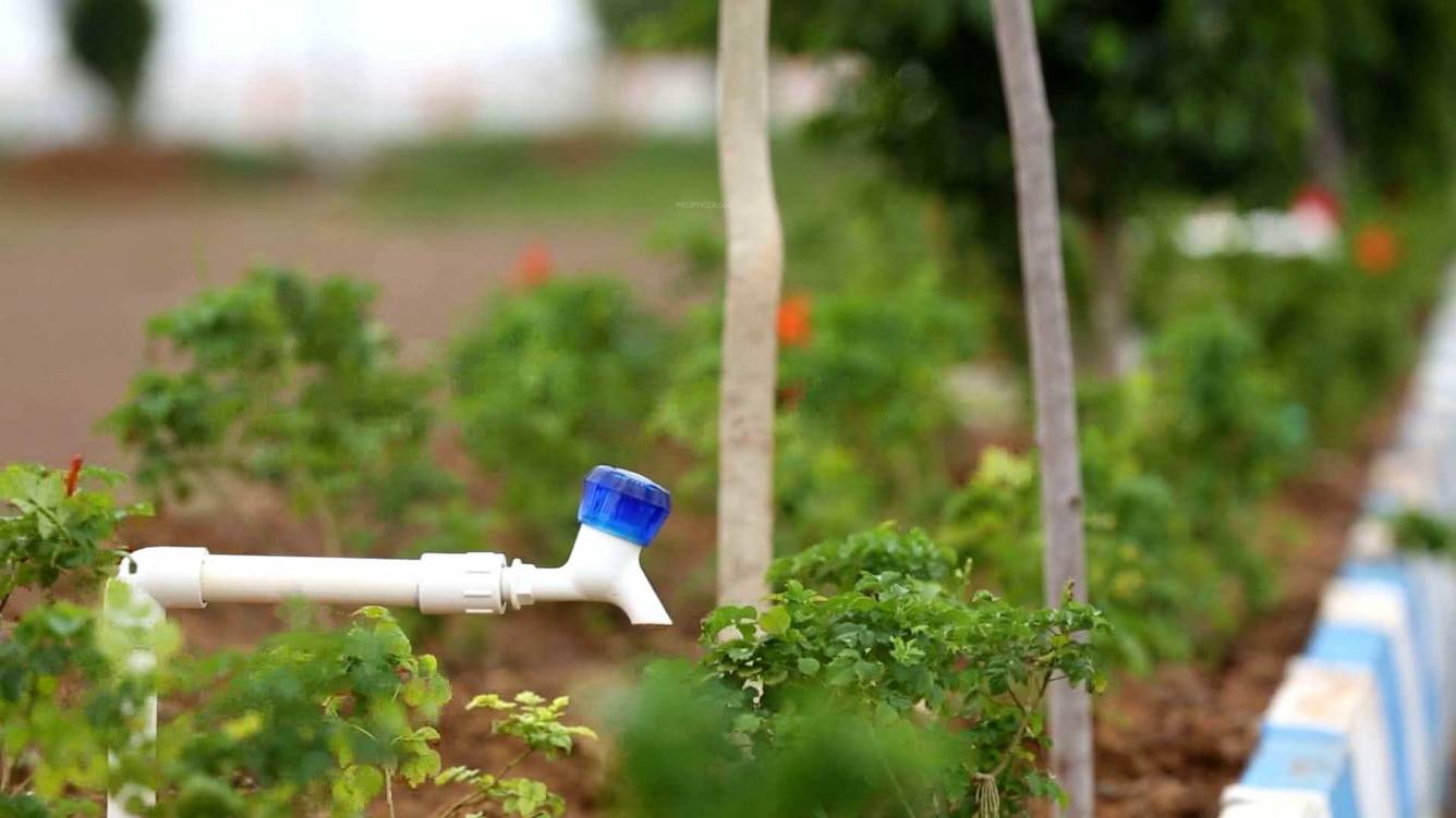 Images for Main Other of Accord Cosmo City