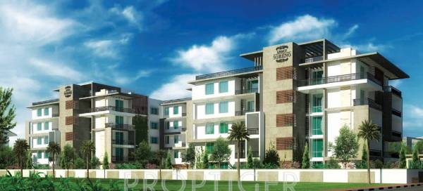 Images for Elevation of Legacy Soreno Images for Elevation of Legacy Soreno