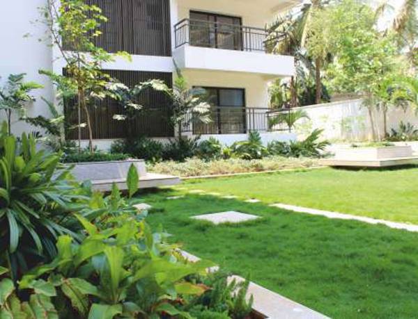 Images for Amenities of Legacy Soreno