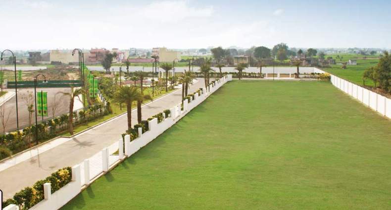  estate plots Landscape Garden and Tree Planting