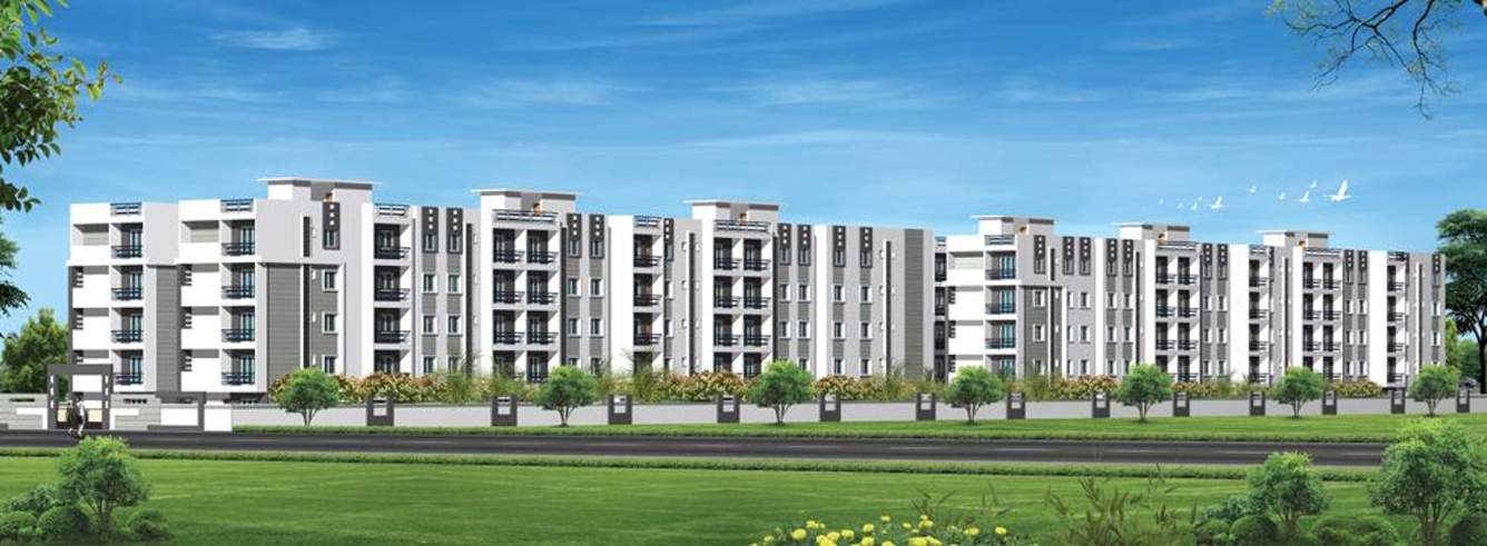 Images for Elevation of Sai White Midas