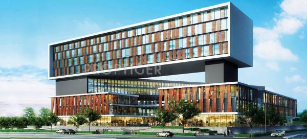 Images for Elevation of VSR 114 Avenue