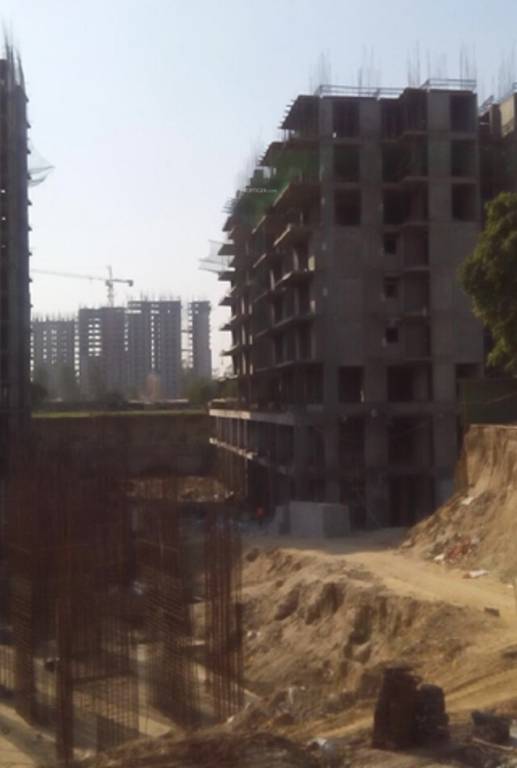 shree Construction Status May 25