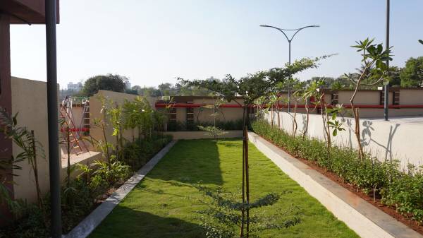  palaash-sadfuli Others