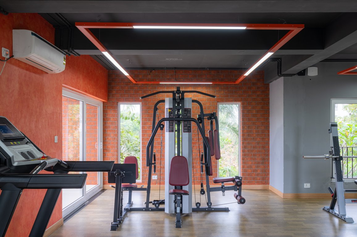  hillview avenue Gymnasium