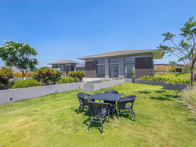 86 banyan tree Landscape Garden and Tree Planting