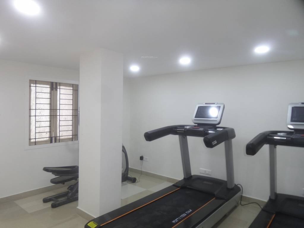 pristine acres Gymnasium