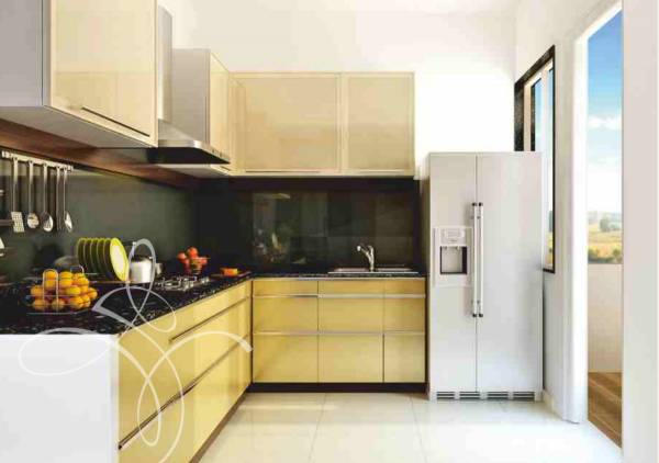 Images for Main Other of Majestique IRA Images for Main Other of Majestique IRA