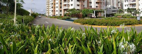 Internal Roads sarovar Internal Roads