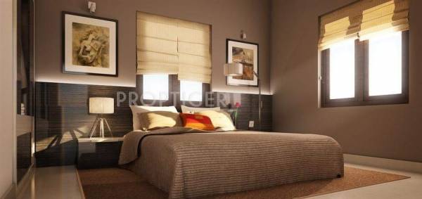 Images for Main Other of Vijay Raja Spruce