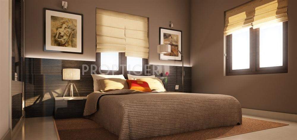 Images for Main Other of Vijay Raja Spruce