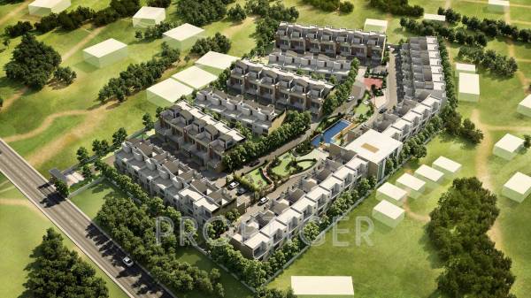  grasshopper Images for Layout Plan of Chartered Grasshopper