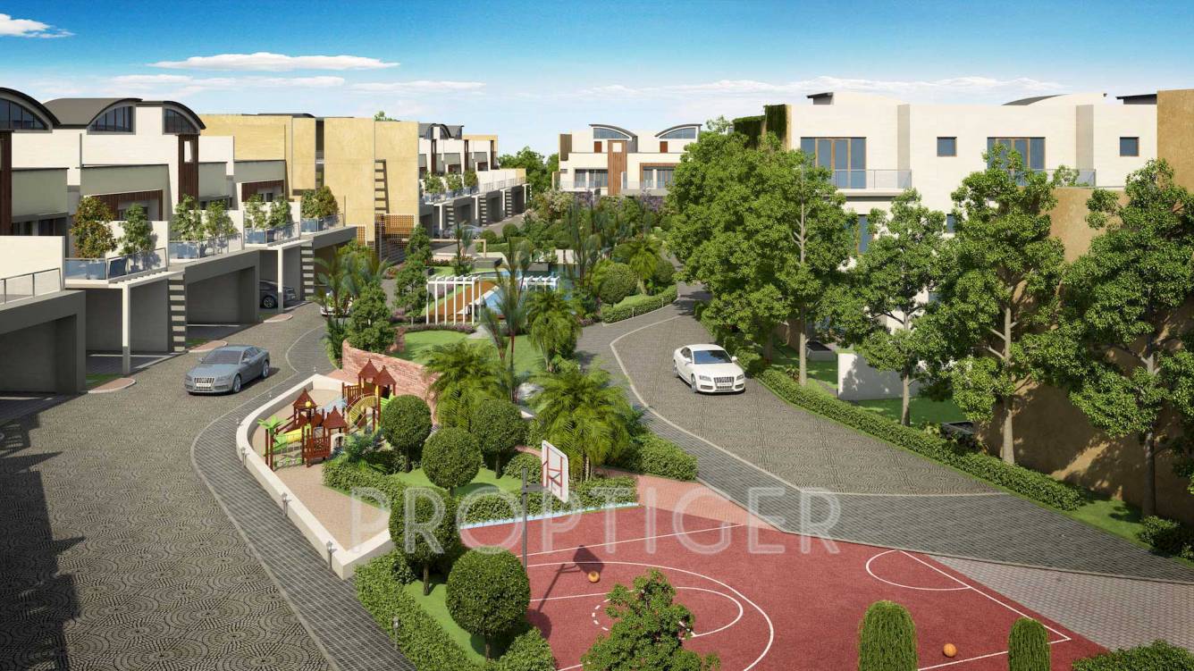  grasshopper Images for Elevation of Chartered Grasshopper