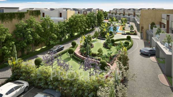  grasshopper Images for Elevation of Chartered Grasshopper